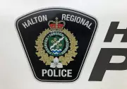 Woman Arrested in Horse Theft Now Faces New Charges: Police