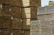 Workplace death leads to penalty for northern Alberta forestry firm