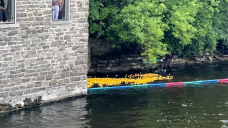 2,000 Rubber Ducks Race in Manotick for Watson's Mill Fundraiser