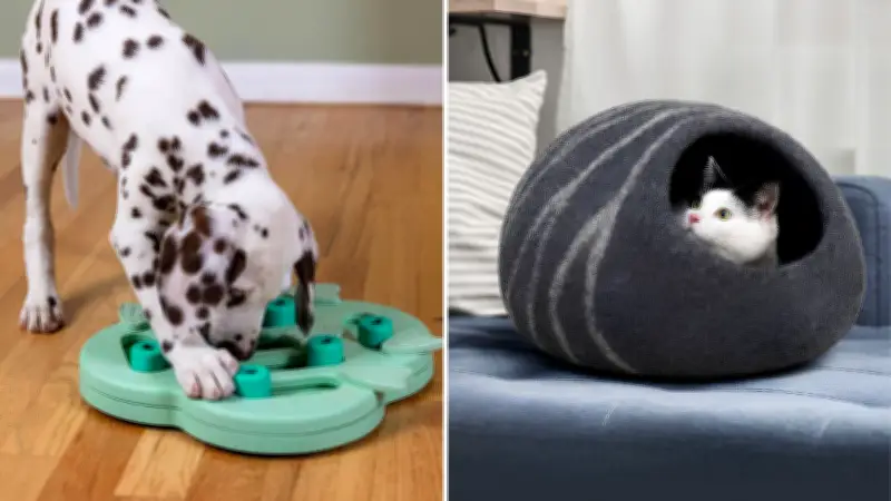 24 Can't-Miss Pet Deals From Amazon Canada's Prime Day Sale