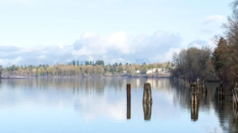 3 hospitalized after boat crashes into train bridge pillar in Maple Ridge, RCMP