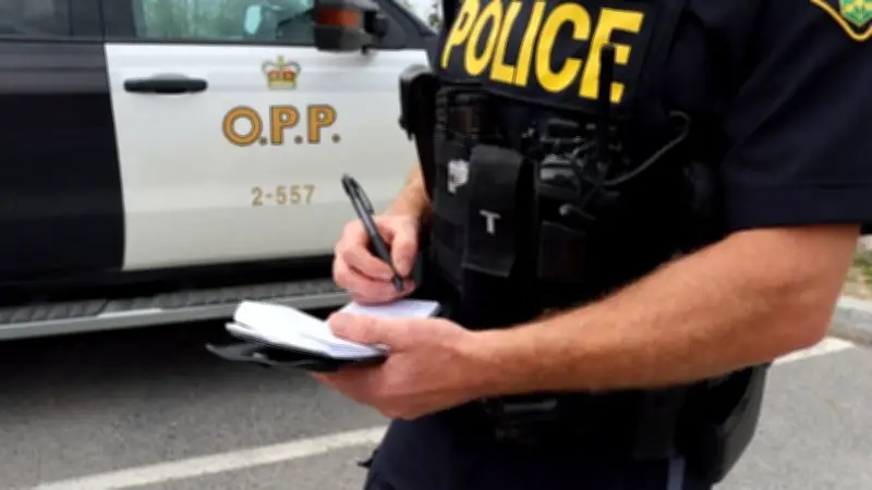 3 Northwestern Ontario Vehicle Thefts May Be Connected, OPP Says