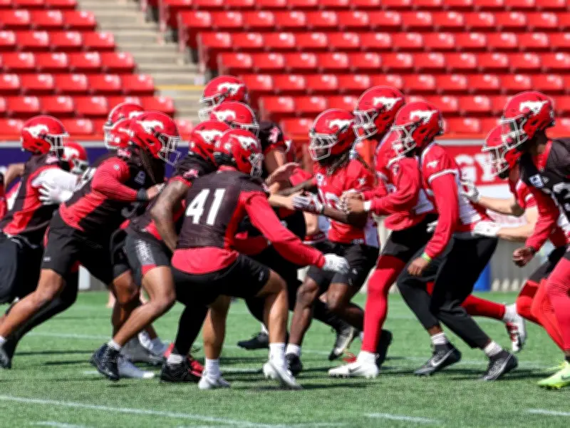 5 Key Factors for Stampeders' 2026 Grey Cup Run at Home