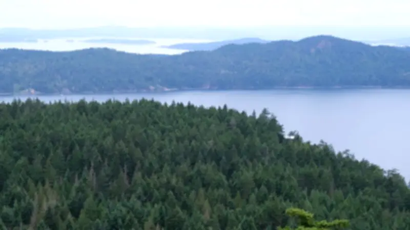 5 rescued after another boat sinks in British Columbia waters