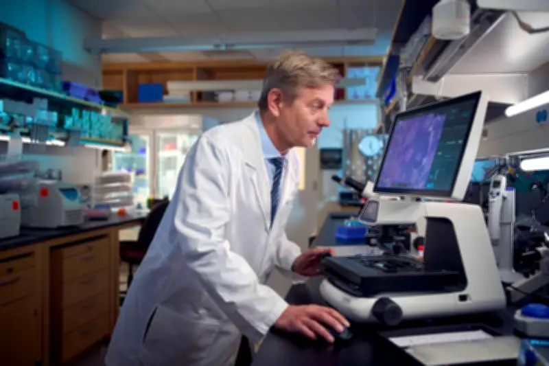 A Healthier Gut May Be Key to Improving Cancer Care Outcomes