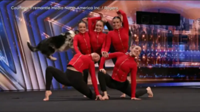 Acrodogs from Edmonton Wow 'America's Got Talent' Judges with Alberta Twist