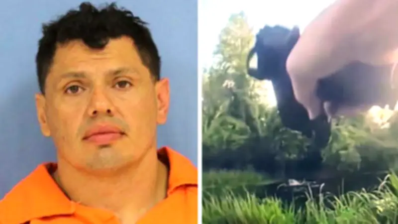 Alligator Helps Police Catch Impaired Driving Suspect in Louisiana Swamp
