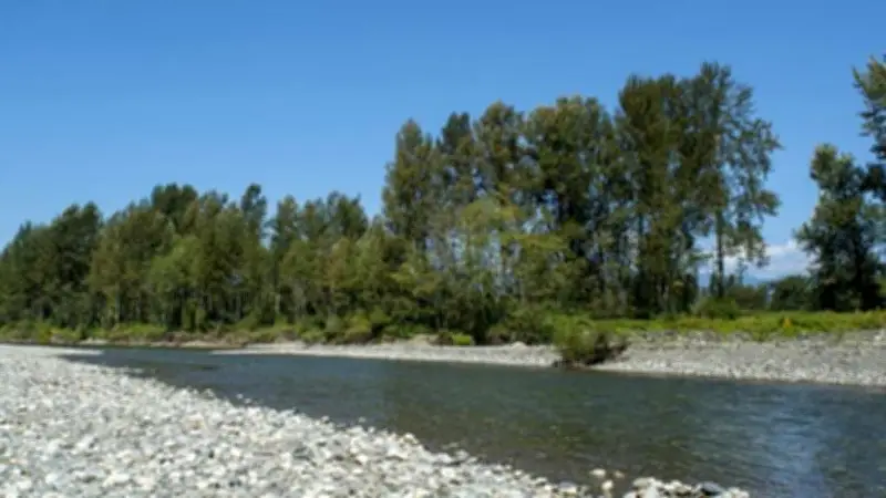 Arrest Made in Vedder River Fire Near Chilliwack: Police