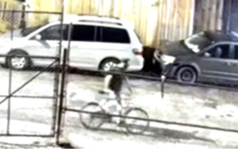 Arson Suspect Sought After Fire at Walkerville Business in Windsor