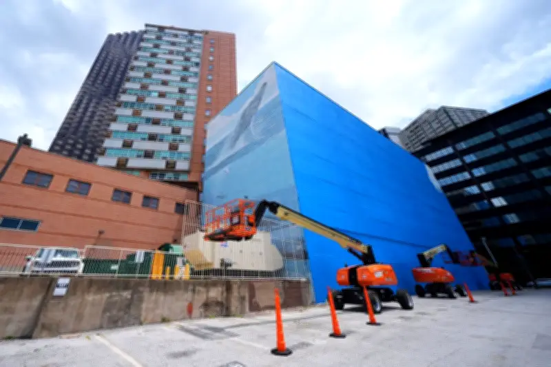 Artist sues FIFA over destruction of Dallas whale mural before World Cup