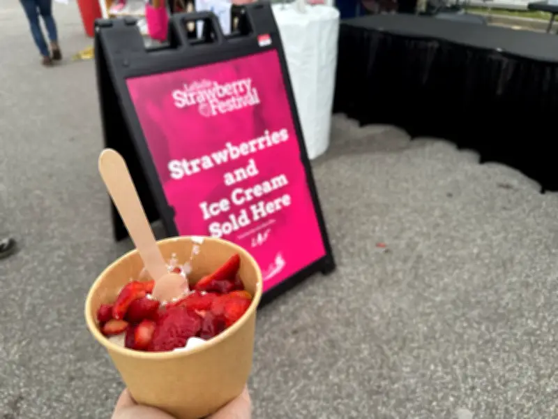 Bad Weather Blamed for Attendance Drop at LaSalle Strawberry Festival