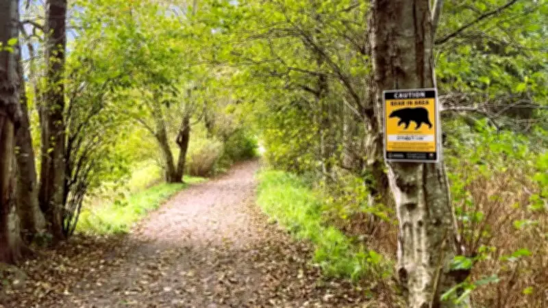 Barrie Police Warn Residents After Black Bear Sighting in Area