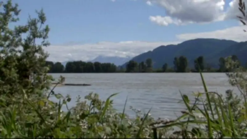 Body Found in Fraser River Weeks After Man's Reported Fall