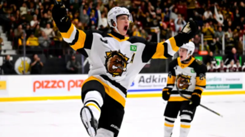 Brantford Bulldogs and Guelph Storm Players Eye 2026 NHL Draft
