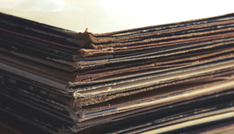 Brantford Landlords Fined for Unsafe Living Conditions Including Cardboard Walls