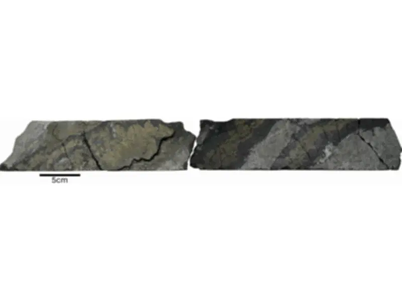 Brixton Metals Drills 14.75m of 1.25% Copper, 1.71 g/t Gold at Glenfiddich Zone