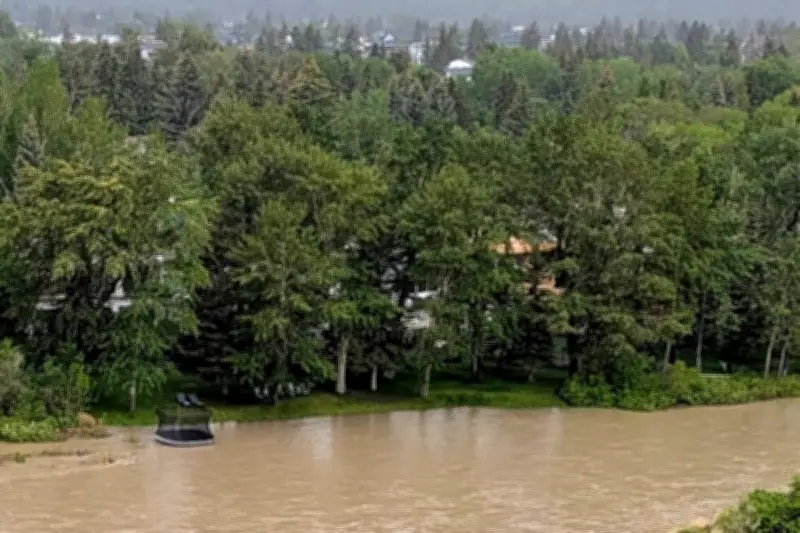Calgary Bracing for Sunny Skies After Over 100 mm of Rain