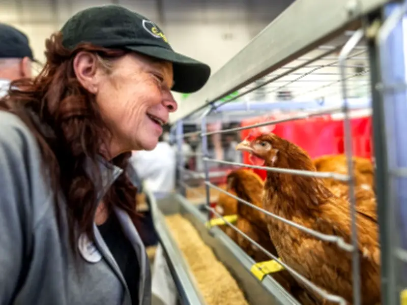 Calgary Stampede's Agriculture Education Strategy: Feeding the Future