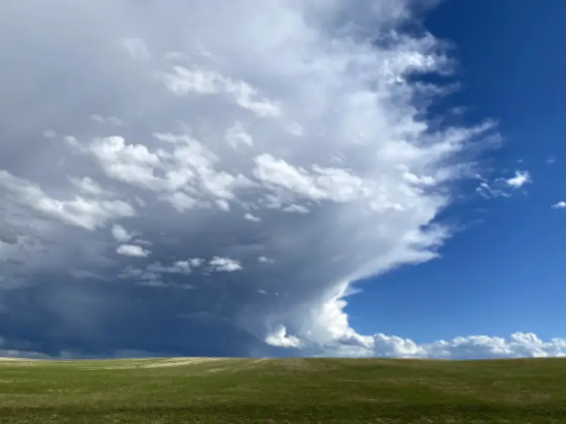 Calgary to Enjoy Sunny Weekend After Final Day of Rain