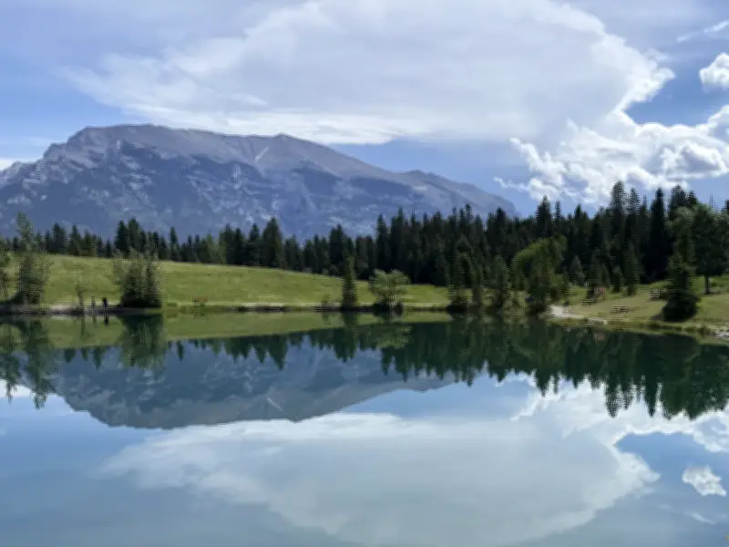 Calgary to experience five days of wet weather starting Friday