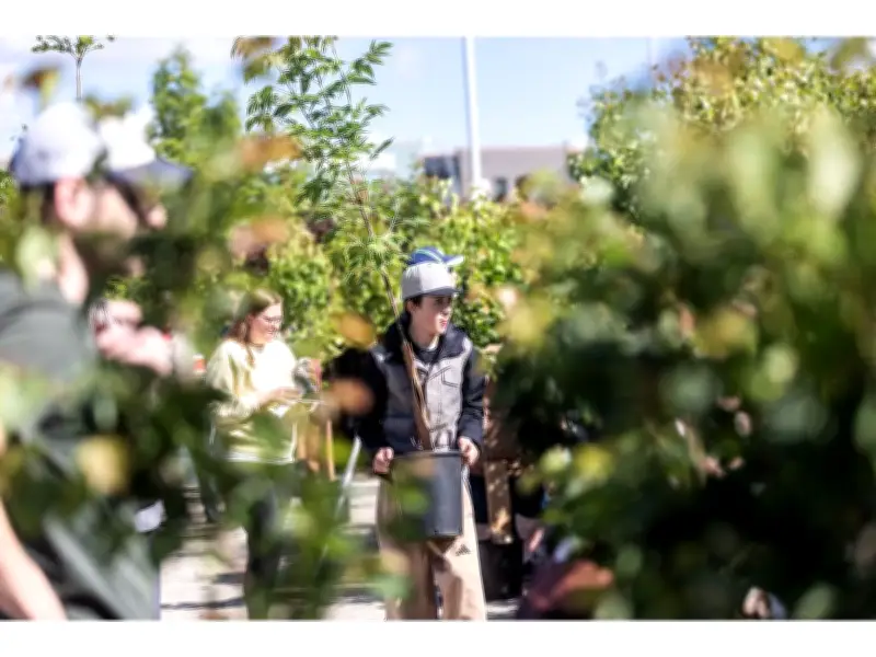 Calgary Tree Giveaway Aims to Boost Urban Canopy