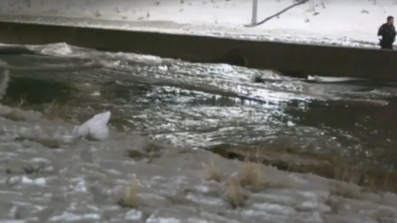 Calgary Waterworks Chaos: Inside Response to Major Water-Main Break