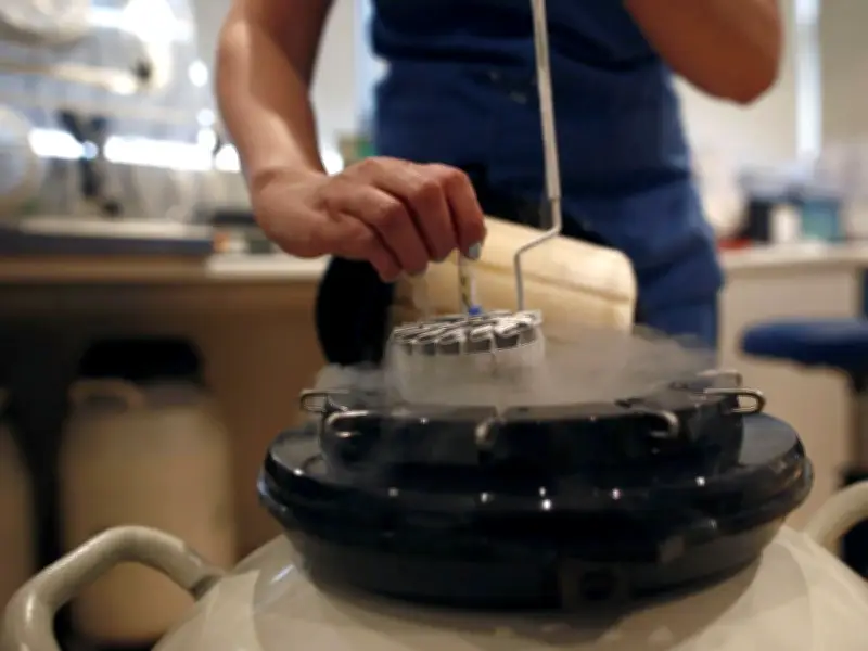 Canada's Fertility Industry: A Wild West of Misleading Marketing