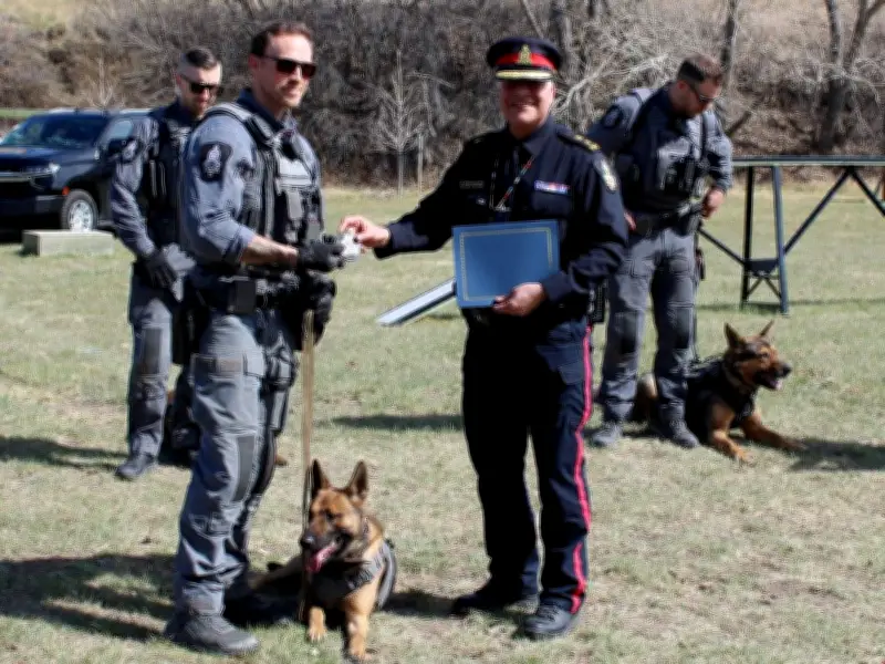 Canadian Police Dog Teams Sharpen Skills at Lethbridge Seminar