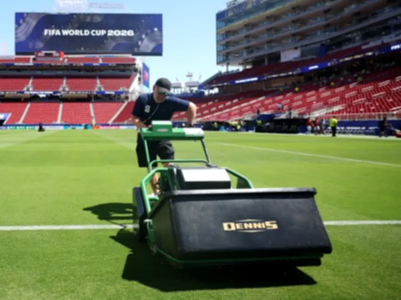 Canadian researcher spent years perfecting turf for FIFA World Cup stadiums