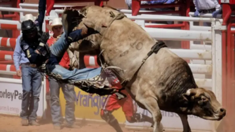 Cape Breton to Host Four-Day Rodeo Festival in September 2026
