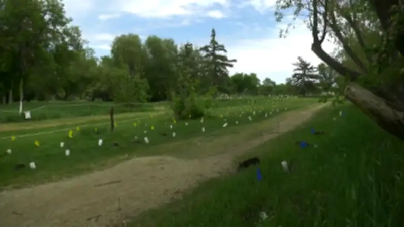 Cathedral Neighbourhood Volunteers Plant Hundreds of Trees to Expand Regina's Urban Forest
