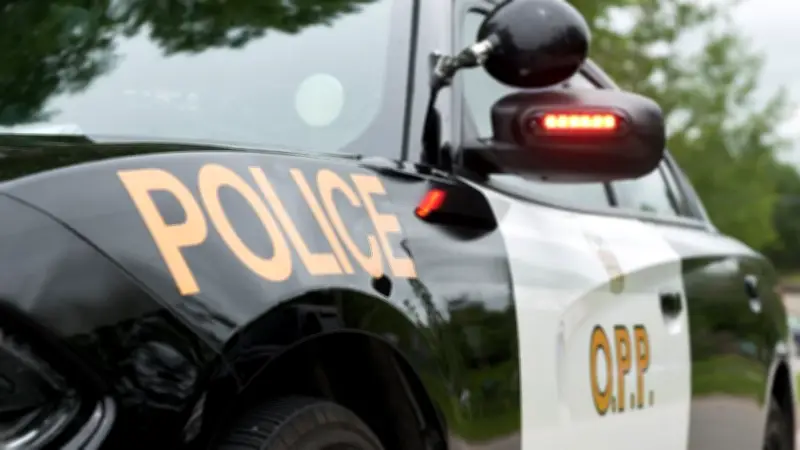 Child Dies in Eastern Ontario Three-Vehicle Crash Injuries