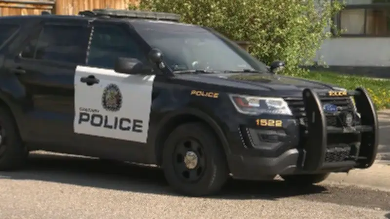 Child Hospitalized After Collision in Northeast Calgary: Police