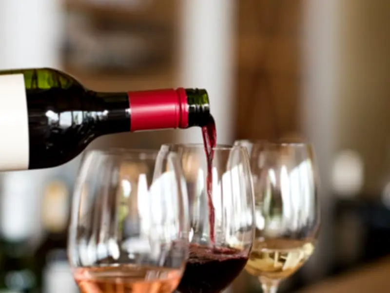 Clos du Soleil: Similkameen Valley Wines That Turn Heads After 20 Years