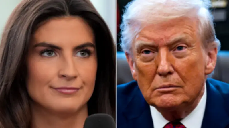CNN's Kaitlan Collins Notes Trump Attacked Her Before She Asked a Question