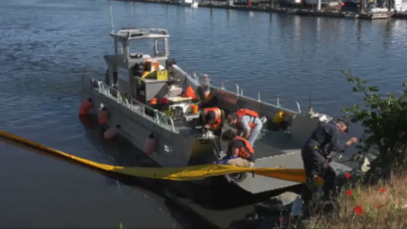 Comox Harbour Advisory Reduced After Sewage Leak Discovery