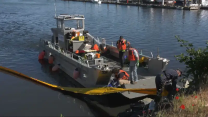 Comox Harbour Sewage Leak: Water Quality Monitoring Continues Following Spill