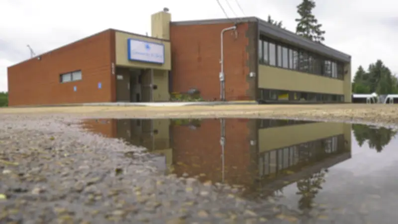 Contact insurers ASAP after rain damage to buildings: industry rep