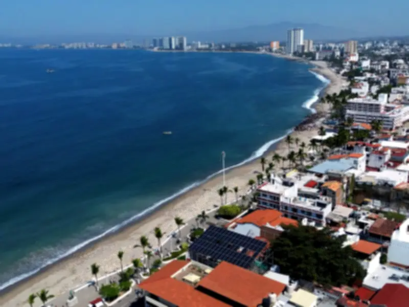 Crocodile Kills Man at Mexican Resort Despite Rescue Attempt by Couple