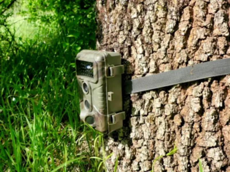 Dear Abby: Cheating husband caught by trail cam leaves wife devastated
