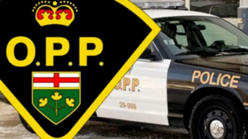 Deer-Involved Crash Leads to Car Fire in Chatham-Kent