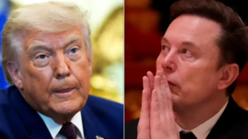 Democratic Lawmakers Blame Trump, Musk for Screwworm Outbreak in Texas
