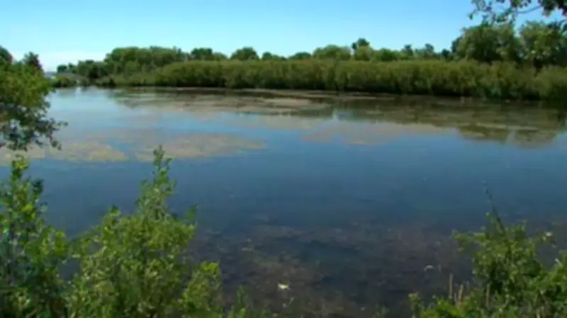 Diesel Spill in Etobicoke's Mimico Creek Prompts Cleanup by City and Ministry