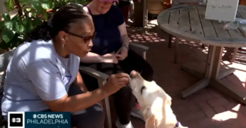 Dogs help aphasia patients improve speech: 'Best thing ever'