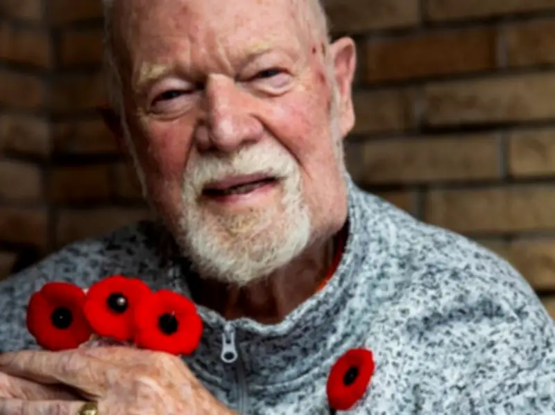 Don Cherry Snubbed Again for Order of Canada Despite Petition
