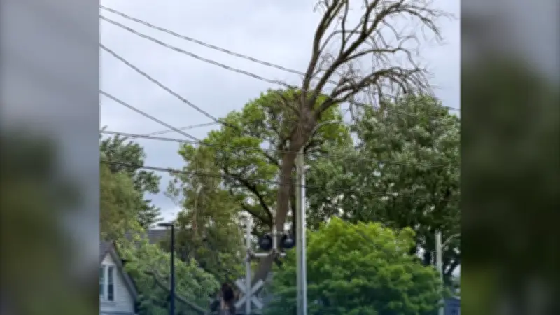 Downed Hydro Wires Close Busy Kitchener Roadway After Tree Fall