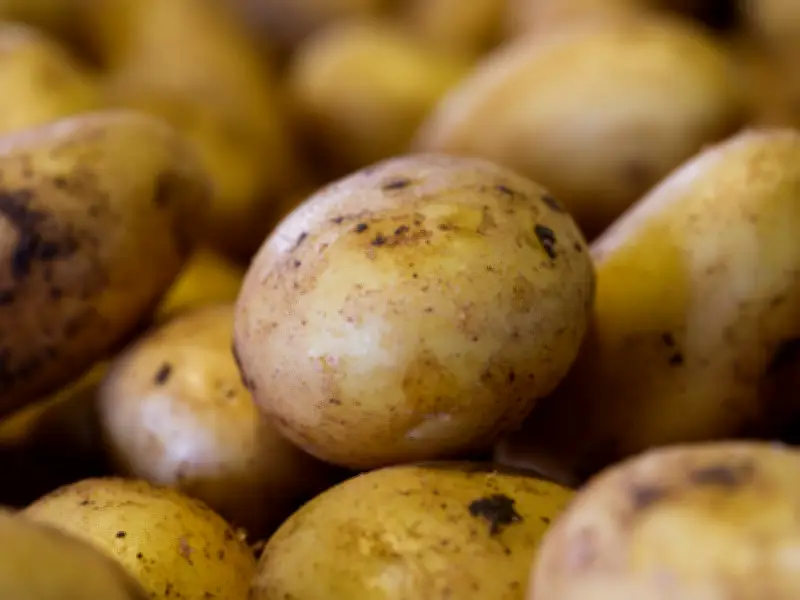 Driver hands police potato instead of license during traffic stop in Kitchener