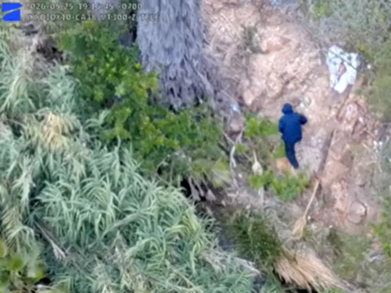 Drone Helps Capture California Palm Tree Arson Suspect