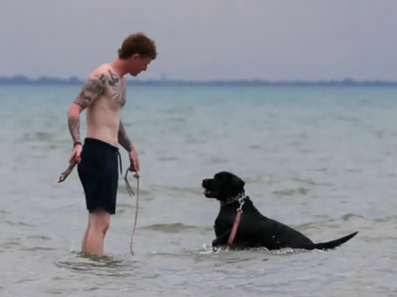 E. coli Warning Issued for Five Windsor-Essex Beaches by Health Unit