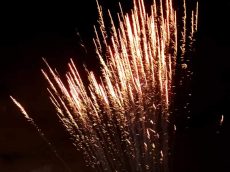 Edmonton fireworks rules fuel problems, business owner tells councillors